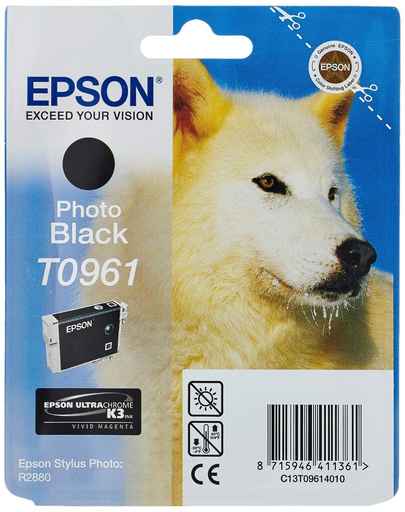 Epson T096 Husky Photo Ink Cartridge [T096]